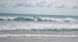 Los Veneros Agave, Nuevo Vallarta