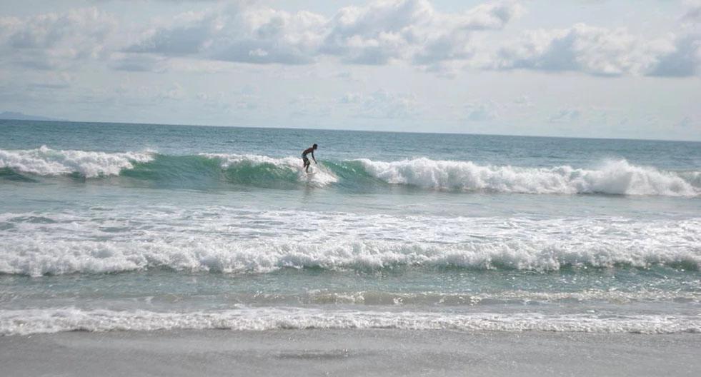 Los Veneros Agave, Nuevo Vallarta