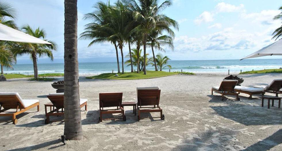 Los Veneros Agave, Nuevo Vallarta