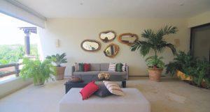 Los Veneros Agave, Nuevo Vallarta