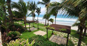 Los Veneros Agave, Nuevo Vallarta