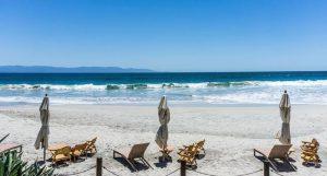 Los Veneros Agave, Nuevo Vallarta