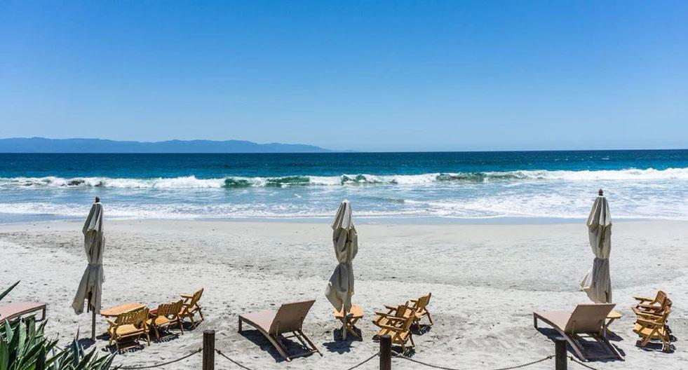 Los Veneros Agave, Nuevo Vallarta