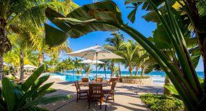 Los Veneros Agave, Nuevo Vallarta