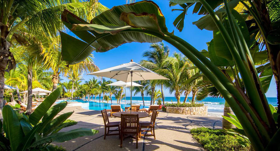 Los Veneros Agave, Nuevo Vallarta