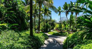 Los Veneros Agave, Nuevo Vallarta