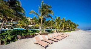 Los Veneros Agave, Nuevo Vallarta