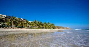 Los Veneros Agave, Nuevo Vallarta