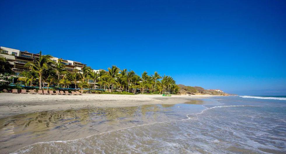 Los Veneros Agave, Nuevo Vallarta