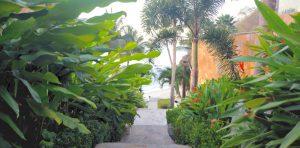 Arena Blanca - Nuevo Vallarta - 12