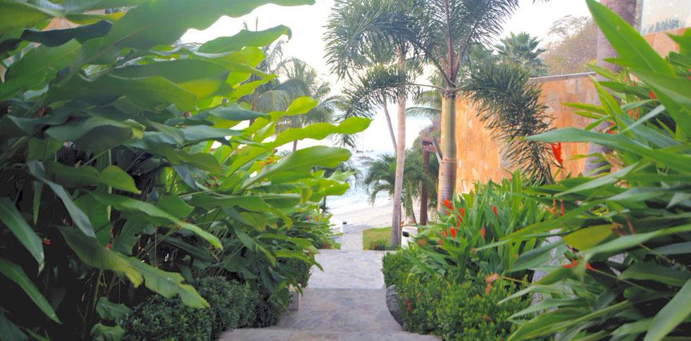 Arena Blanca - Nuevo Vallarta - 12