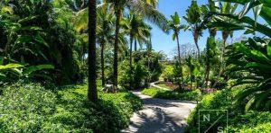 Los Veneros Bugambilia, Nuevo Vallarta