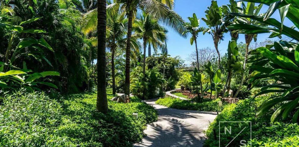 Los Veneros Bugambilia, Nuevo Vallarta