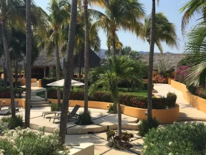 Alamar Torre Amura, Riviera Nayarit