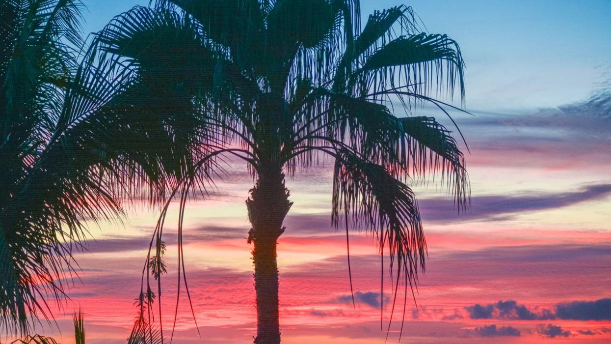 Veneros Pacifico 201, Riviera Nayarit, Mexico