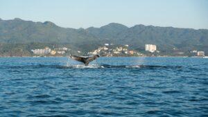 Arena Blanca 404, Riviera Nayarit, Mexico