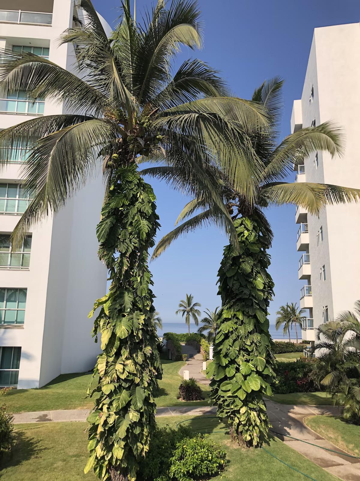 Mayan Island 103 - Nuevo Vallarta