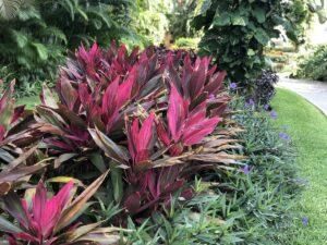 Mayan Island 103 - Nuevo Vallarta