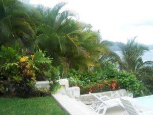Exotic greenery and flowers - Villa Dos Palapas, La Punta; Manzanillo