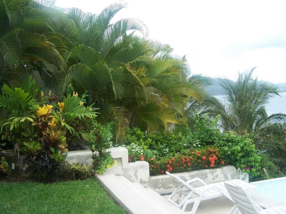 Exotic greenery and flowers - Villa Dos Palapas, La Punta; Manzanillo