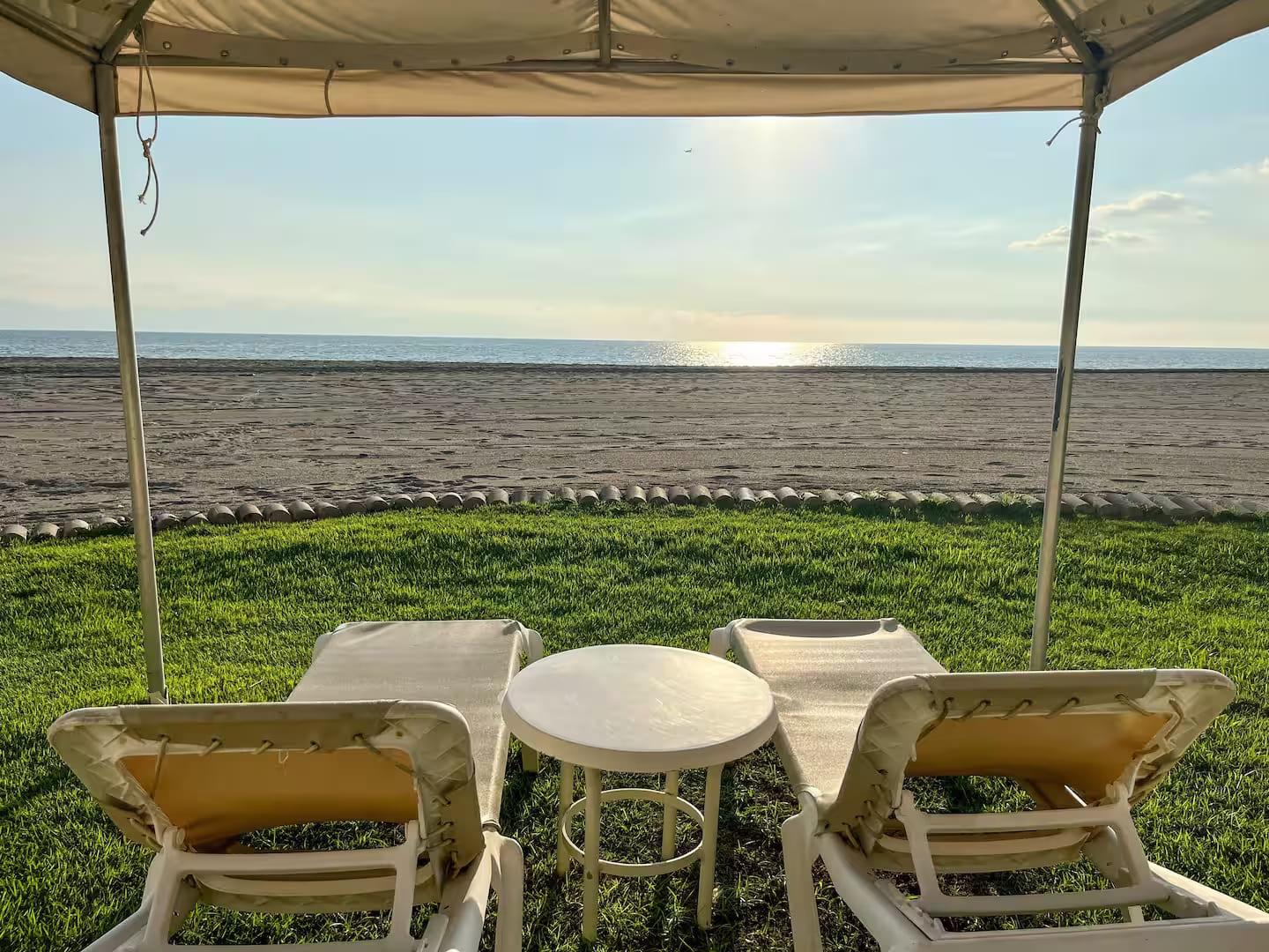 Backyard - Bayview Grand 24