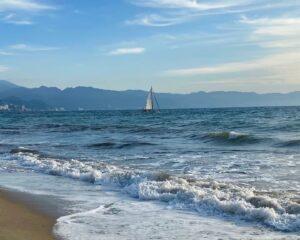 Always something beautiful to see in the Bay