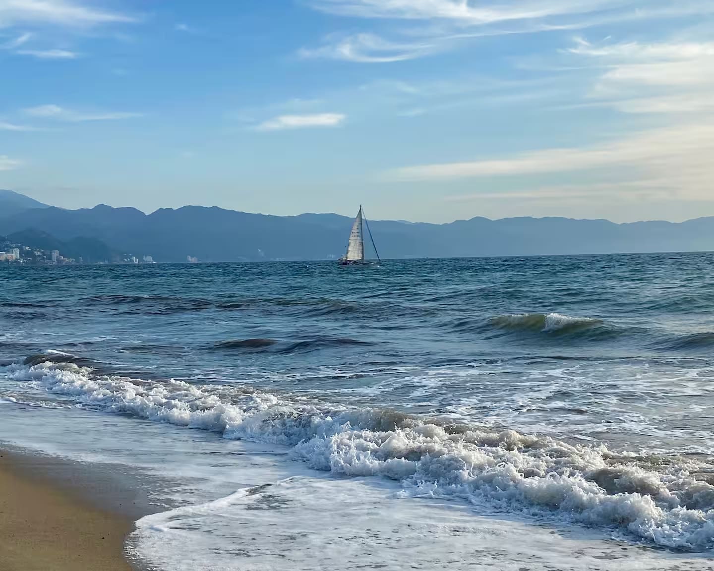 Always something beautiful to see in the Bay